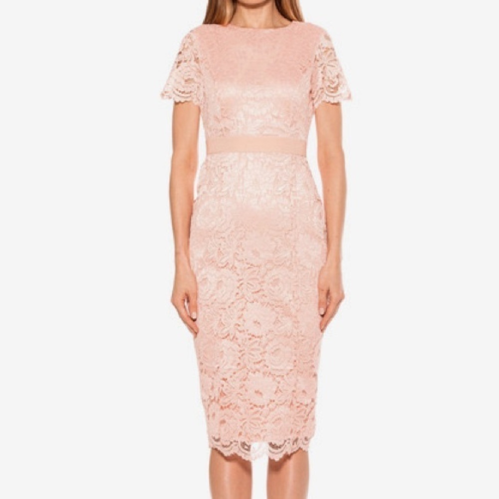 Alexia Admor Lace Sheath Dress
